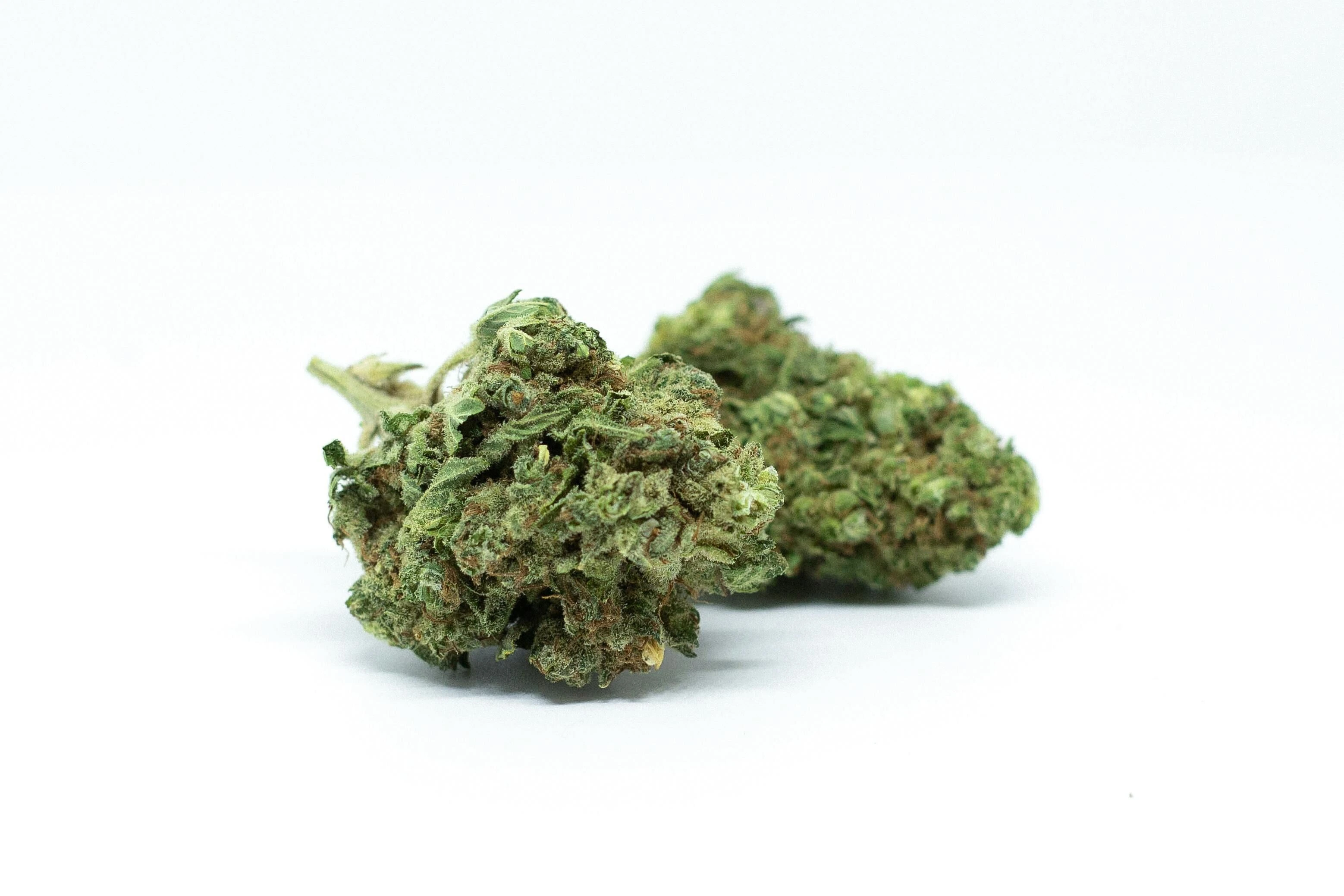 Premium dried cannabis buds showing high-quality medicinal cannabis for international export from Thailand with visible trichomes